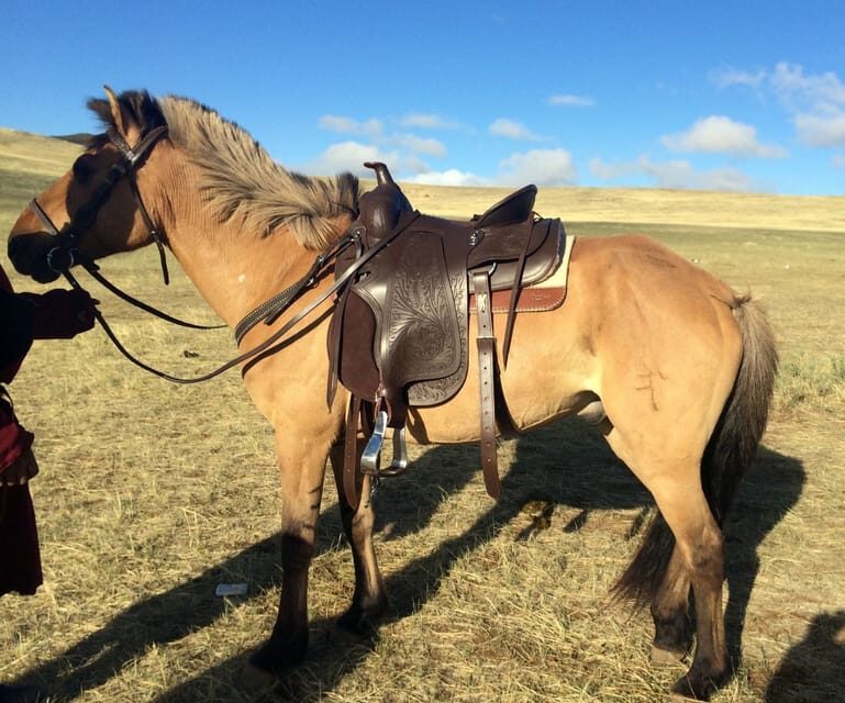 From Ulaanbaatar: Day Trip to Hustai National Park - The Full Story: What You Can Expect on this Hustai National Park Day Trip