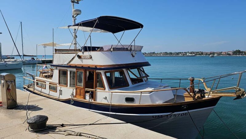From Umag: Boat Tour to Savudrija with Swimming and Dolphins - A Detailed Look at the Umag to Savudrija Boat Tour