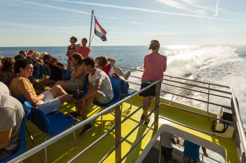 From Umag: Venice Boat Trip with Day or One-Way Option - Who Will Love This Experience