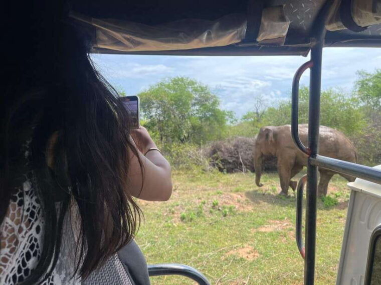 from-unawatuna-udawalawe-national-park-safari-with-transfer