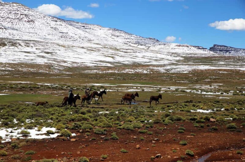 From Underberg: 3-Day Lesotho Highlights Guided Tour - Final Thoughts