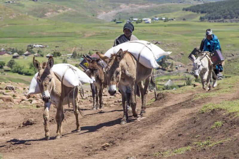 From Underberg: 3-Day Lesotho Highlights Guided Tour - FAQ
