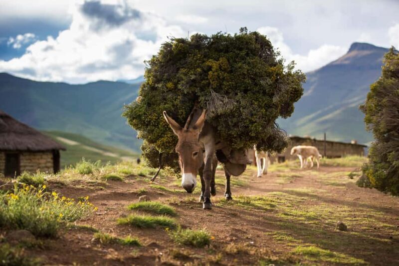 From Underberg: 4x4 Sani Pass Day Trip - Key Points  