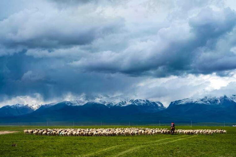 from-urumqi-7-day-silk-road-tour-with-kashgar-and-turpan