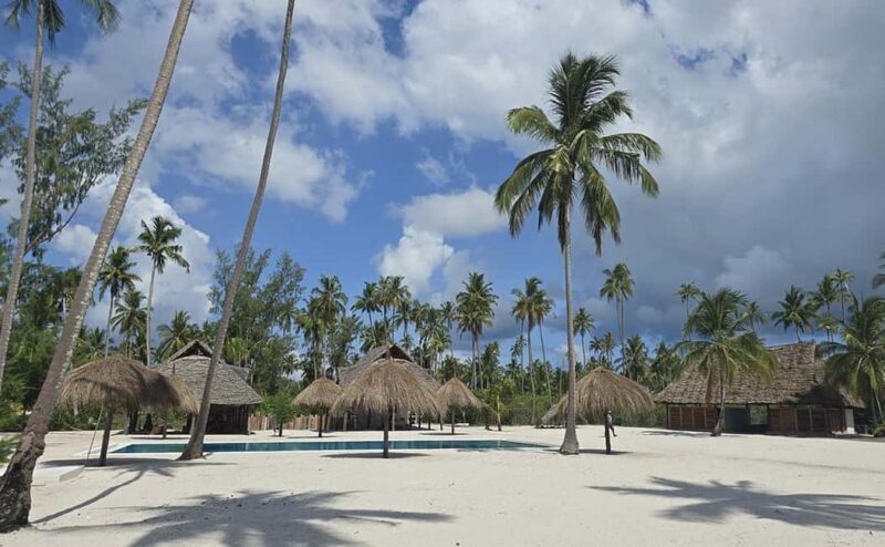 From Utende: Marimbani Sandbank Snorkeling Trip with BBQ - Practical Details and Tips