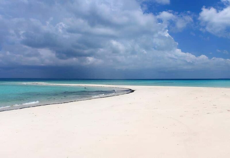 From Utende: Marimbani Sandbank Snorkeling Trip with BBQ - Final Thoughts: Who Should Book This Trip?