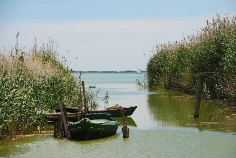 from-valencia-albufera-boat-ride-food-paella-included