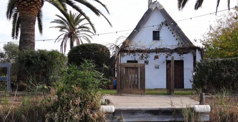 from-valencia-albufera-boat-ride-food-paella-included