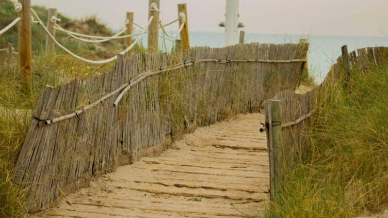 from-valencia-albufera-day-trip-with-boat-tour-and-transfer