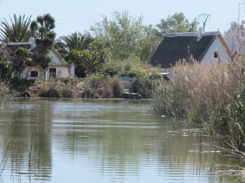 From Valencia: Albufera Natural Park Bus, Cruise and Lunch - Key Points