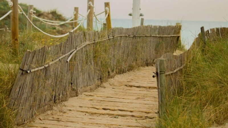 From Valencia: Albufera Natural Park Eco Boat Tour & Sunset - The Experience for Different Travelers