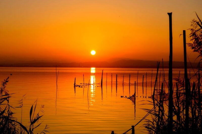 from-valencia-albufera-natural-park-with-sunset-boat-tour