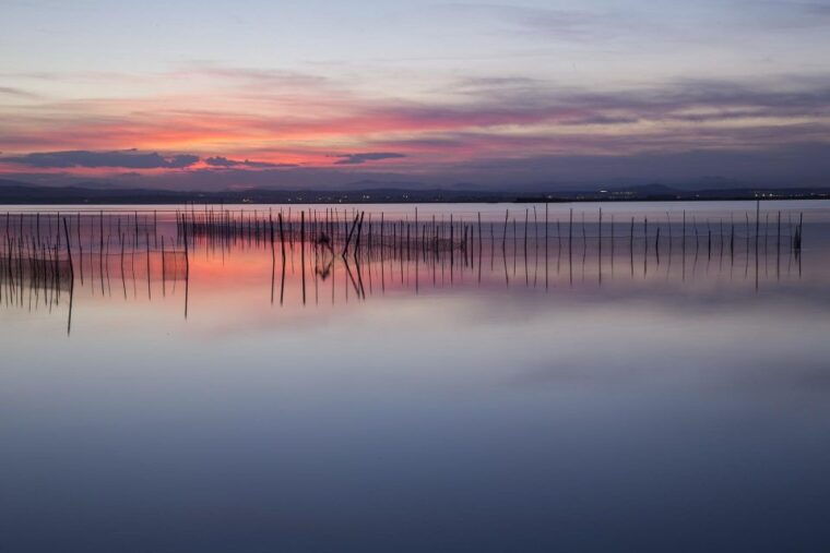 from-valencia-albufera-natural-park-with-sunset-boat-tour