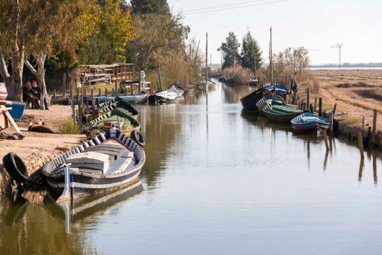 from-valencia-albufera-natural-park-with-sunset-boat-tour
