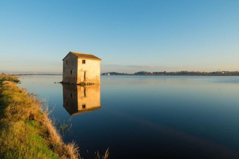 from-valencia-albufera-private-tour-paella-boat-ride