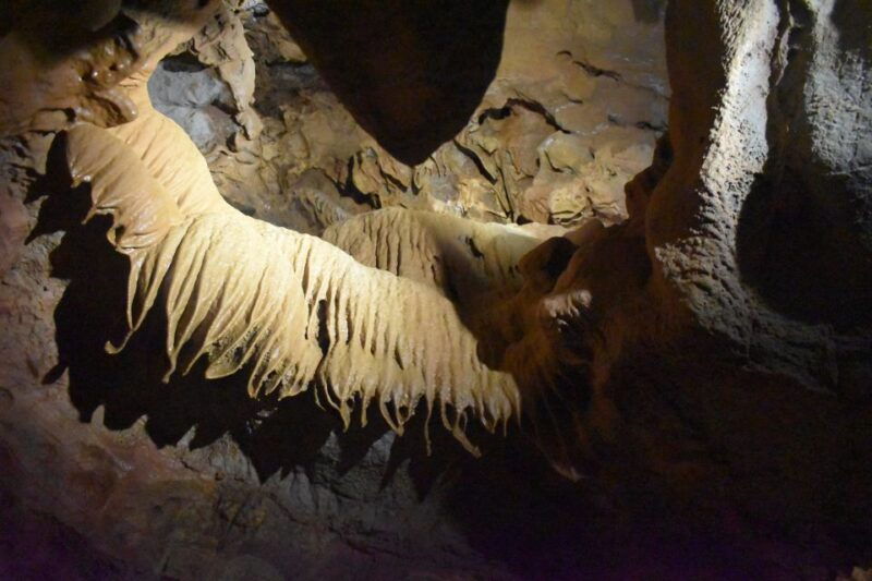 from-valencia-caves-of-san-jose-guided-excursion-and-ticket