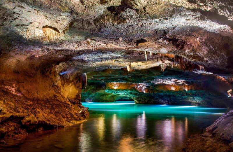 from-valencia-caves-of-san-jose-guided-excursion-and-ticket
