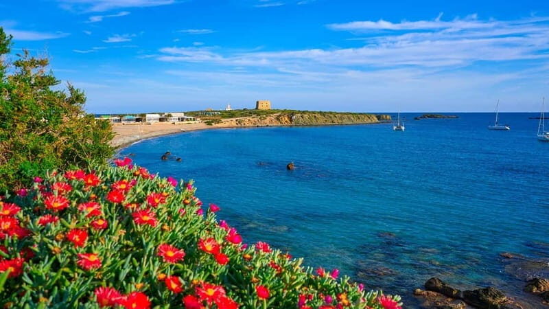 From Valencia/Gandia/Benidorm: Tabarca Island Full Day Trip - Additional Practicalities