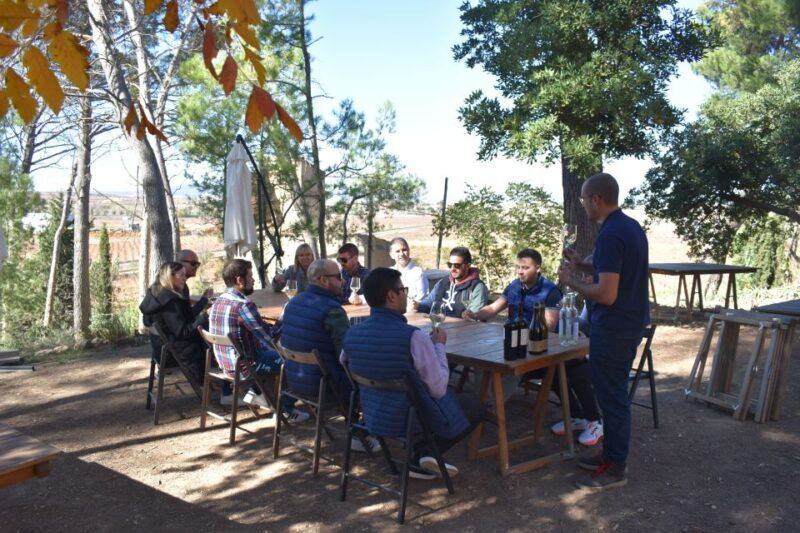 from-valencia-guided-cheese-factory-tour-with-wine-tasting