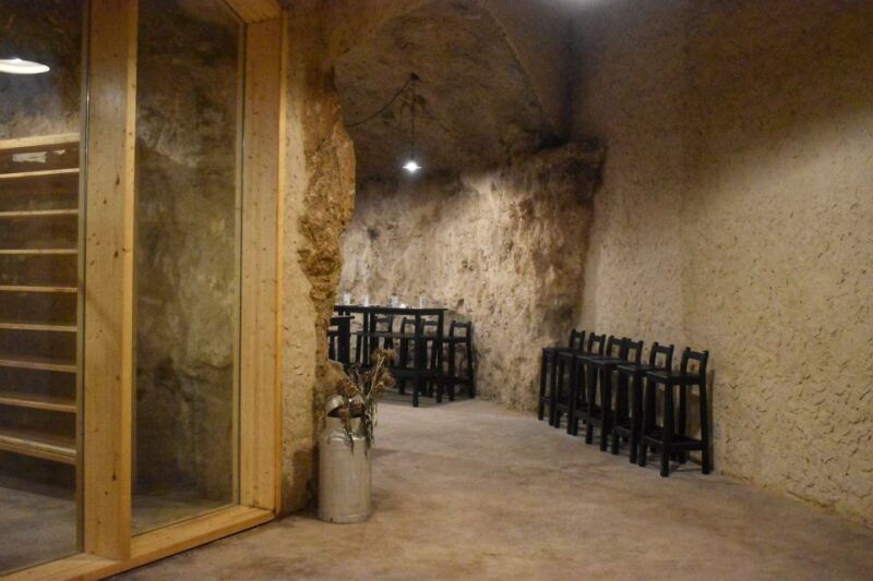 from-valencia-guided-cheese-factory-tour-with-wine-tasting