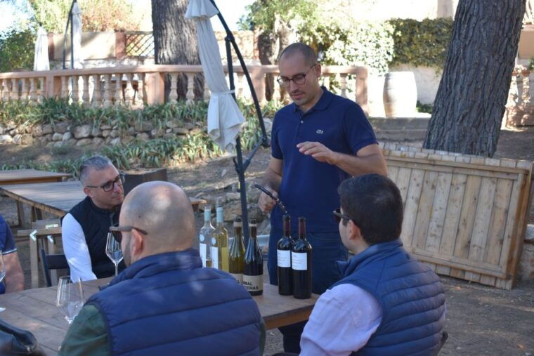 from-valencia-guided-cheese-factory-tour-with-wine-tasting