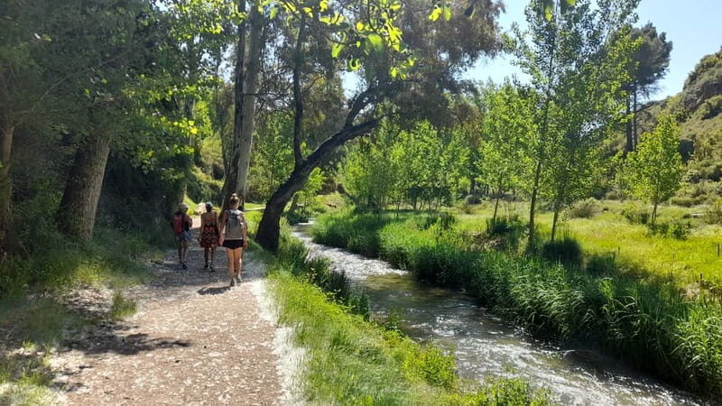 From Valencia: Peña Cortada Aqueduct Hiking Day Tour - The Sum Up