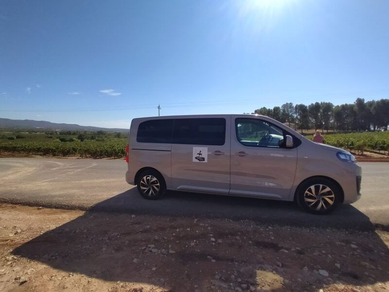 from-valencia-requena-wine-tour-with-tastings