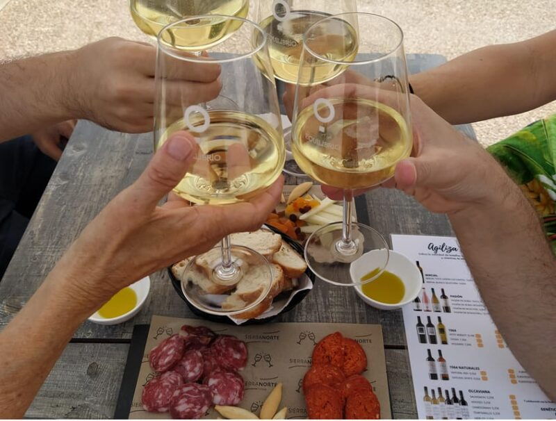 from-valencia-requena-wine-tour-with-tastings