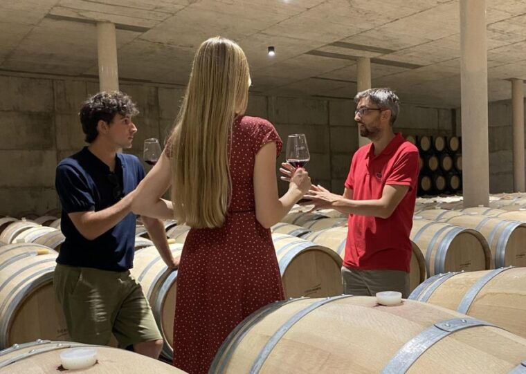 from-valencia-requena-wine-tour-with-tastings