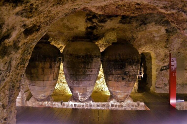 from-valencia-requena-wine-tour-with-tastings