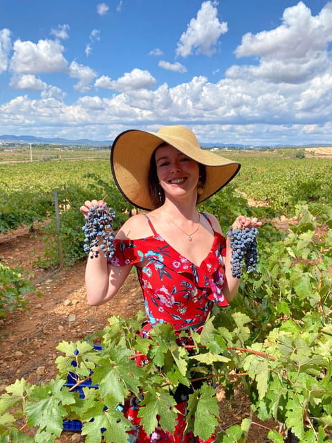from-valencia-utiel-requena-wine-tour-and-traditional-lunch