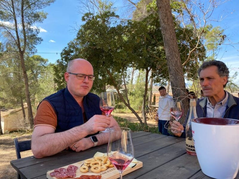 from-valencia-utiel-requena-wine-tour-and-traditional-lunch