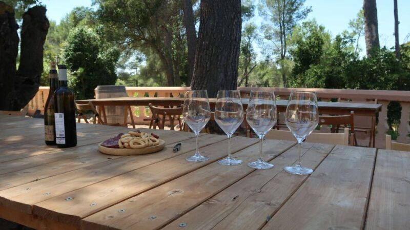 from-valencia-utiel-requena-wine-tour-and-traditional-lunch