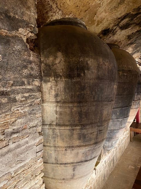 from-valencia-utiel-requena-wine-tour-and-traditional-lunch