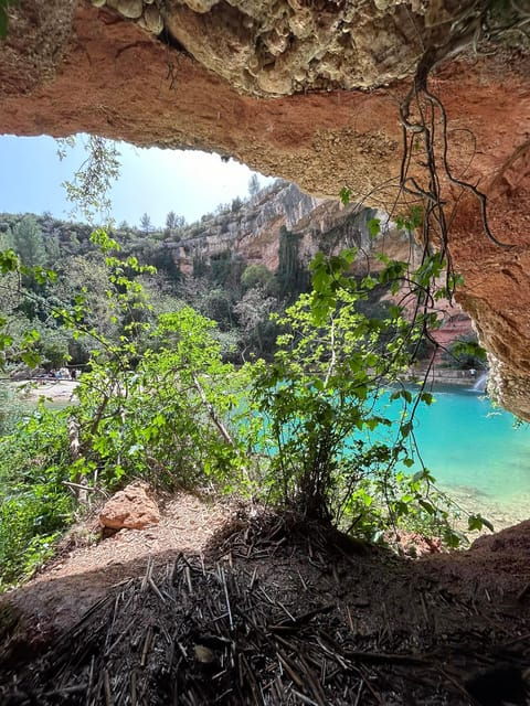 from-valencia-wine-tasting-nature-exploration