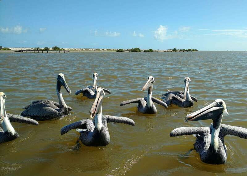 From Valladolid: Rio Lagartos and Ek Balam Day Trip - Key Points
