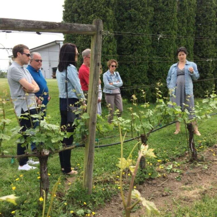 from-vancouver-fraser-valley-wine-tour-with-local-tastings