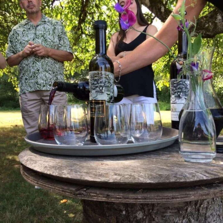 from-vancouver-fraser-valley-wine-tour-with-local-tastings