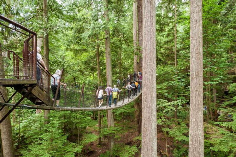 from-vancouver-grouse-mountain-capilano-suspension-bridge
