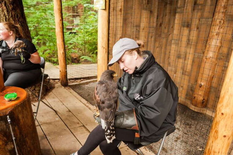from-vancouver-grouse-mountain-capilano-suspension-bridge