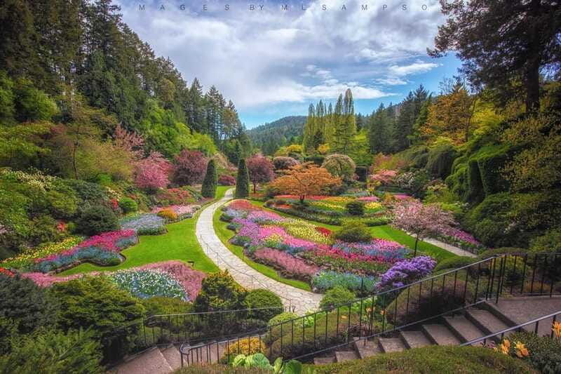 from-vancouver-victoria-city-and-butchart-gardens-tour