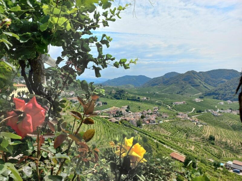 from-venice-and-treviso-prosecco-hills-wine-and-food-tour