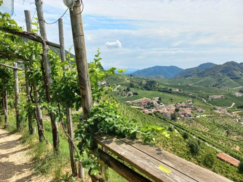 from-venice-and-treviso-prosecco-hills-wine-and-food-tour