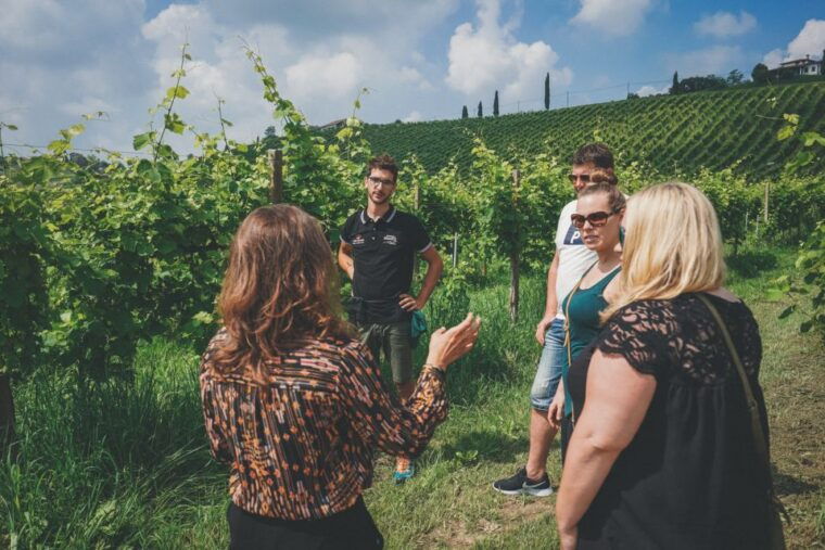 from-venice-prosecco-hills-and-wine-tasting-tour