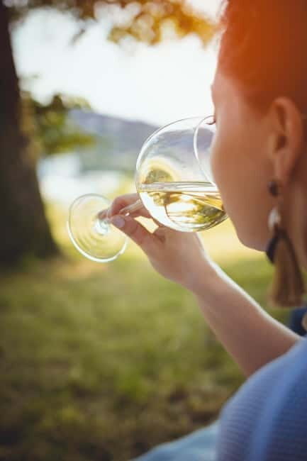 From Venice: Tour of the Prosecco Hills with Wine and Food - Key Points