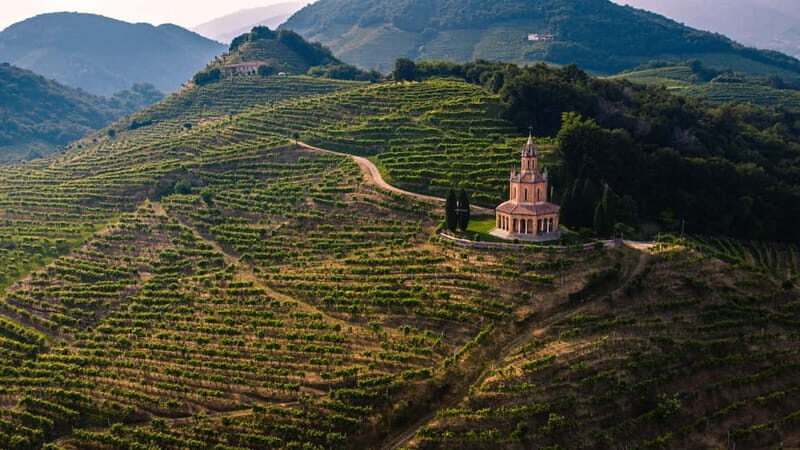 From Venice: Tour of the Prosecco Hills with Wine and Food - Considerations and Who Will Love It
