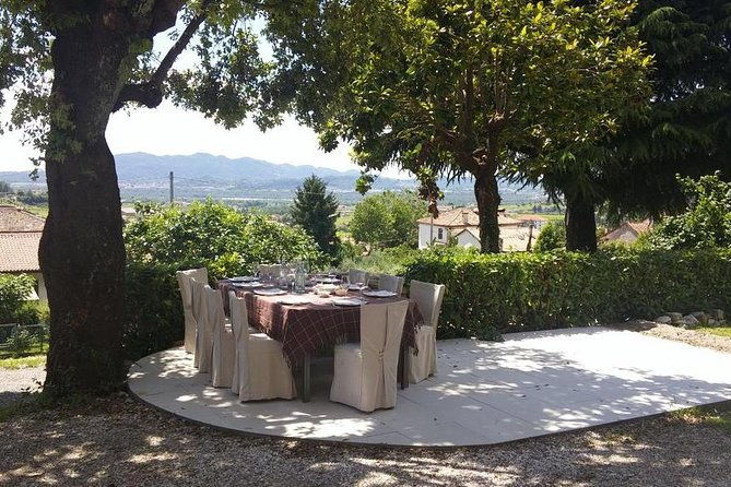 from-venice-wine-and-food-tour-in-the-prosecco-hills