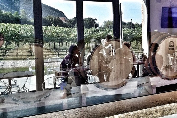 from-venice-wine-tour-in-the-euganean-hills