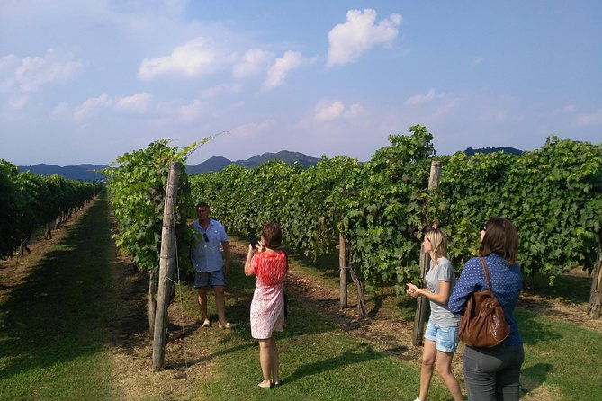 from-venice-wine-tour-in-the-euganean-hills