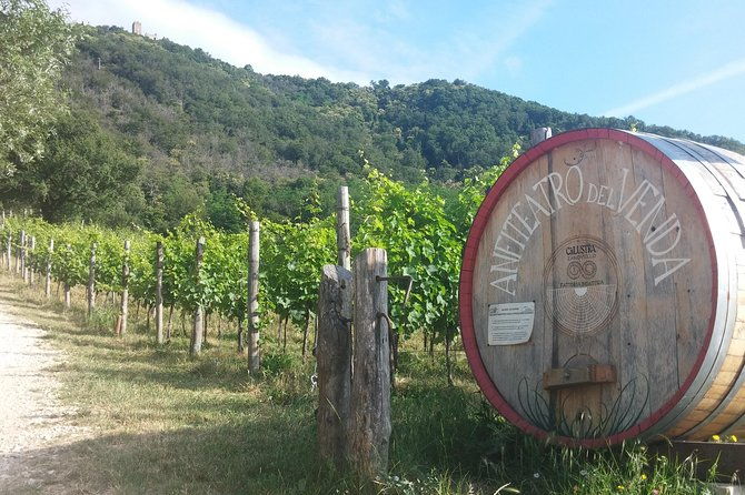 from-venice-wine-tour-in-the-euganean-hills